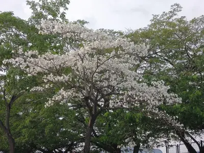 image-3419835052.webp
