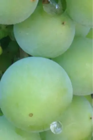 image-3437946452.webp
