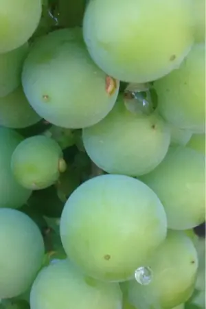 image-3062201042.webp