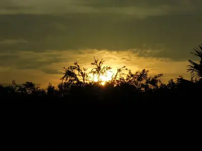 image-3336860117.webp