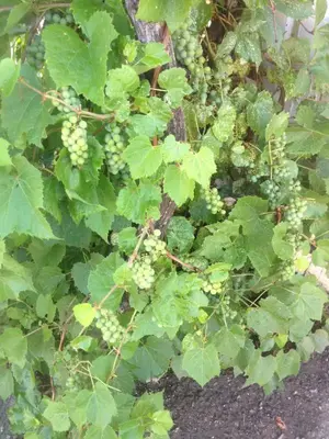 image-3058073603.webp