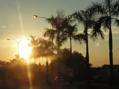 image-387419589.webp