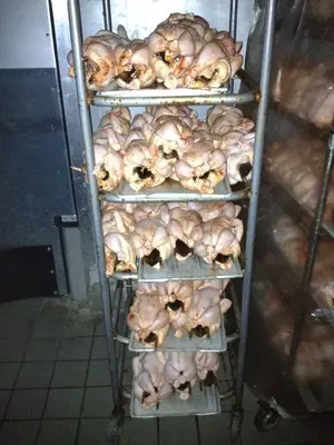 image-3879938381.webp