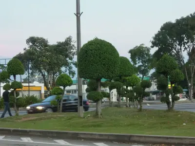 image-845120268.webp