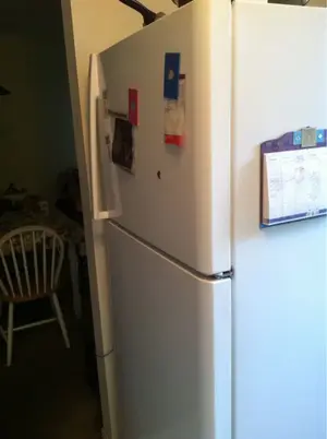 image-3677595443.webp
