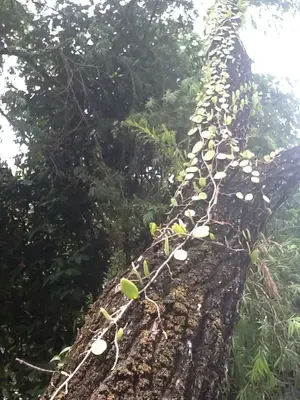 image-2929654803.webp