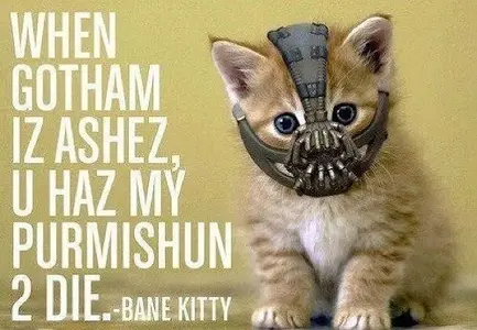 Gato Bane.webp