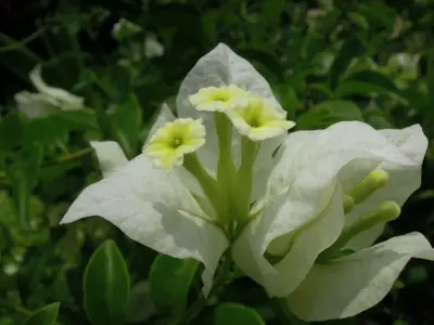 image-3302741461.webp