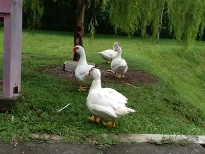 image-244695025.webp
