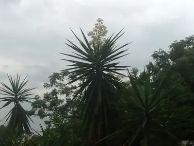 image-3474665458.webp