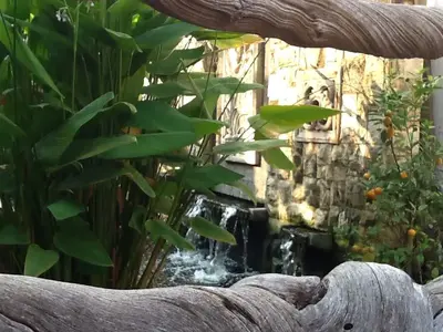 image-3726501189.webp