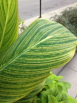image-1441978113.webp