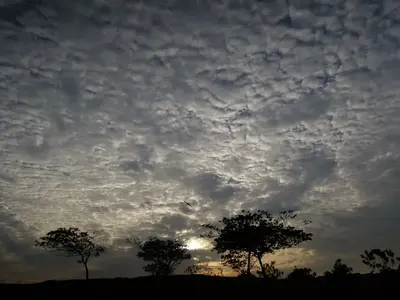 image-3716432240.webp