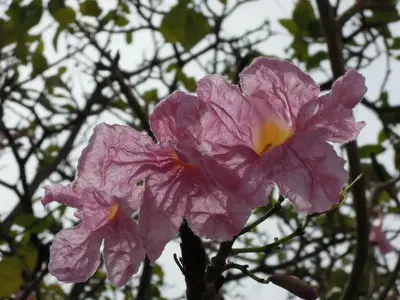 image-3113686763.webp