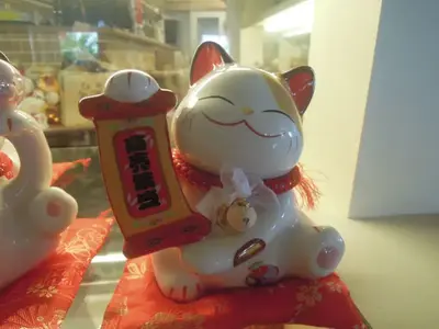 image-2490371648.webp
