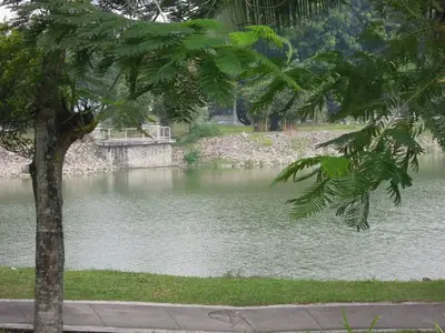 image-2339555104.webp