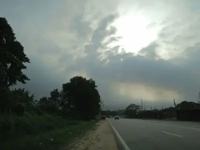 image-2794502972.webp