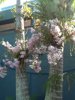 image-2002590726.webp