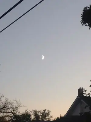 image-1405741785.webp