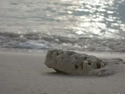 image-3573120553.webp