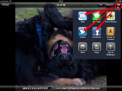 SharePicture.webp