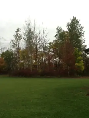image-2779934673.webp