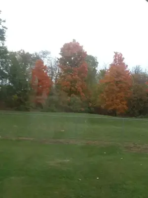 image-3520917369.webp