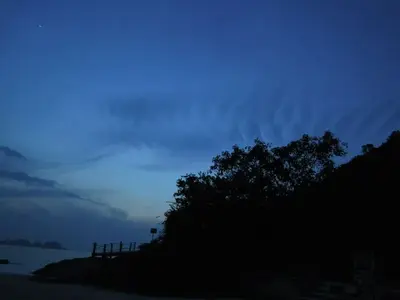 image-146411796.webp