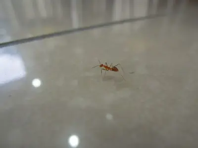 image-1610360831.webp