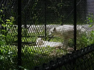 image-2294162172.webp