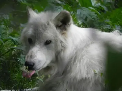image-289765623.webp