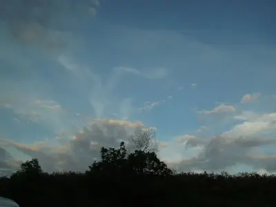 image-3833812880.webp