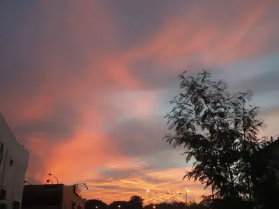 image-1698660060.webp
