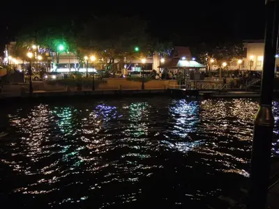 image-1136309416.webp
