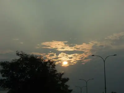 image-2105792788.webp