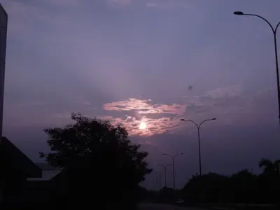image-2600911517.webp