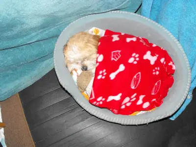 image-478237700.webp