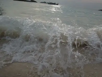 image-3766053182.webp