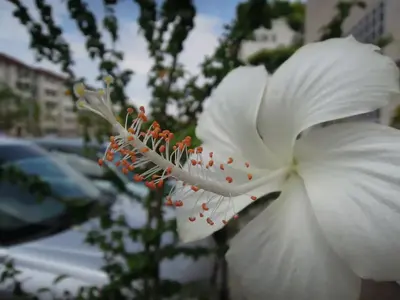 image-2063154449.webp