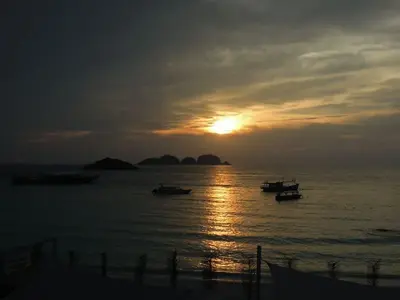 image-3219679472.webp