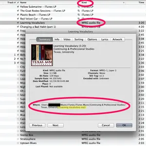 iTunesKindView.webp