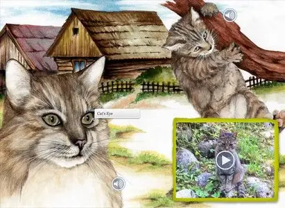 domestic1.480x480-75.webp domestic1.480x480-75.webp