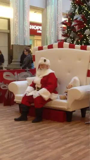 image-3018594084.webp