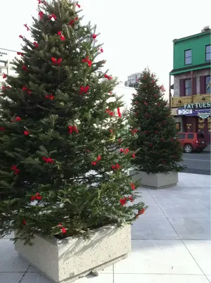 image-1014960898.webp