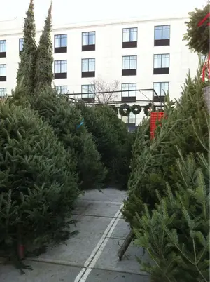 image-941622802.webp