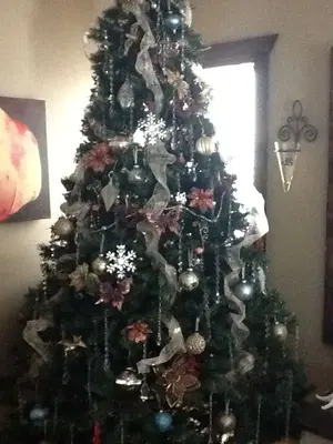 image-3756570216.webp