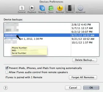 SeeSNiniTunes.webp