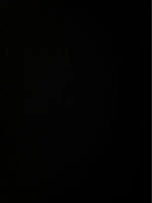 image-3784837567.webp