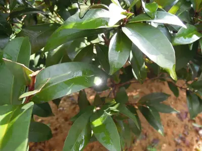 image-1415658119.webp