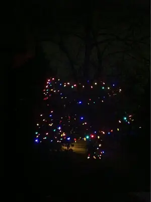 image-1929246433.webp